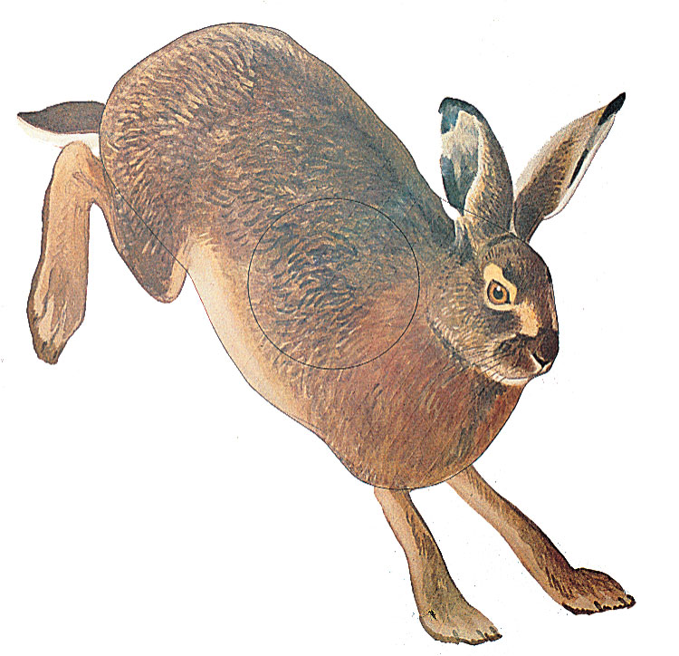 Tierbildauflage Hase (skandinavisch).