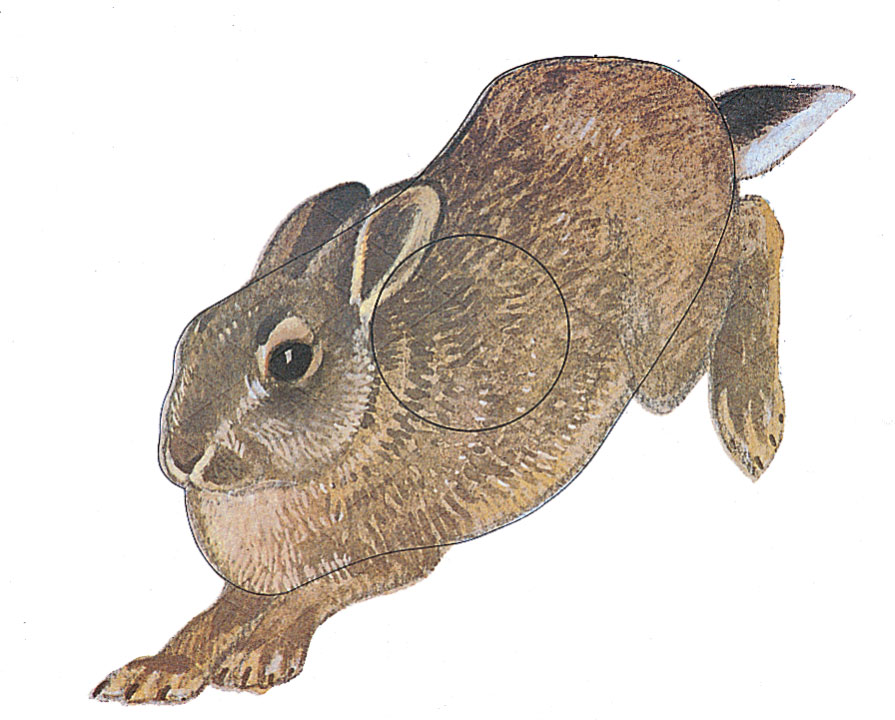 Tierbildauflage Kaninchen (skandinavisch)