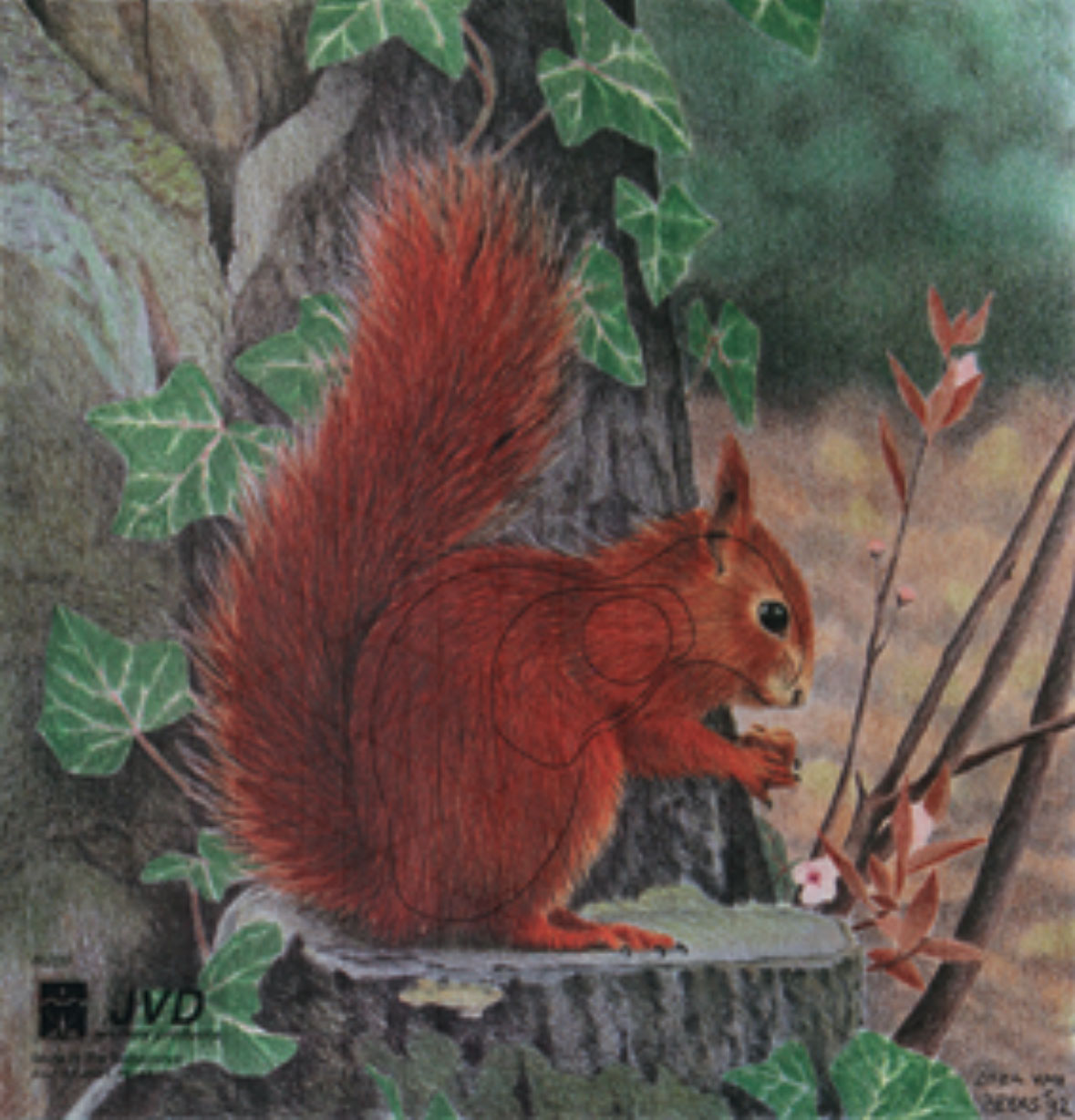 JVD Tierbildauflage Eichhörnchen